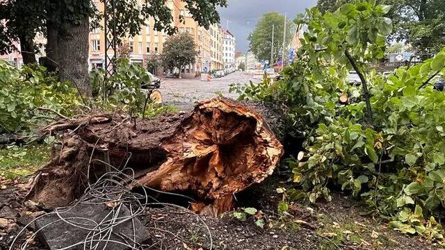 طوفان شدید در فنلاند و قطعیِ برقِ هزاران خانه