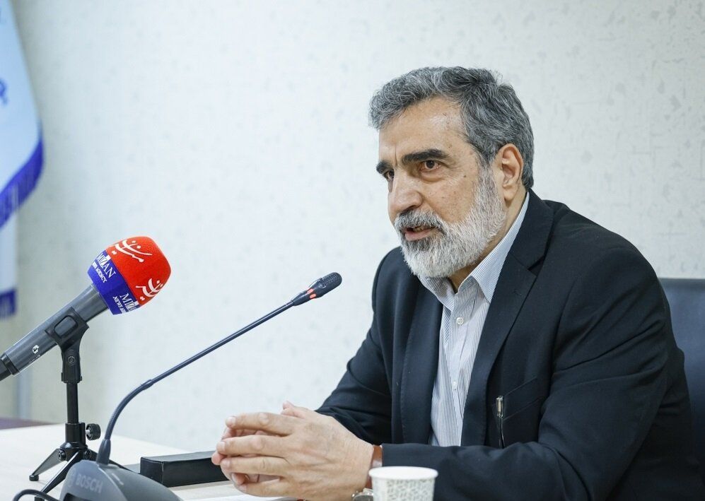 کمالوندی: آب سنگین ایران از نظر کیفیت در رتبه نخست دنیا قرار دارد/رابطه ایران و آژانس رو به جلو است